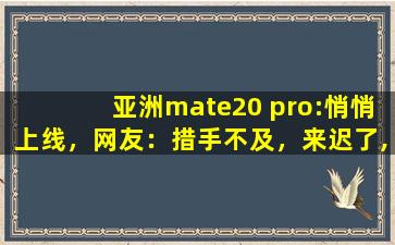 亚洲mate20 pro:悄悄上线，网友：措手不及，来迟了,mac十大最好看色号31